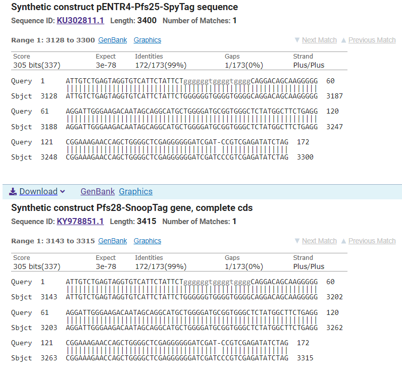 Jikkyleaks's tweet photo. Here it is.
The Oxford plasmid.
"SpyTag" and "SnoopTag" and a CMV promoter with the moo cow equivalent of SV40 in the PolyA.
I'm sure it's just a coincidence.
#TagGate
@FeeRedfern @JesslovesMJK @juliangillespie
https://t.co/wj0gOFh3TN
https://t.co/tHxQE0heWU
https://t.co/I5UbOtowgV