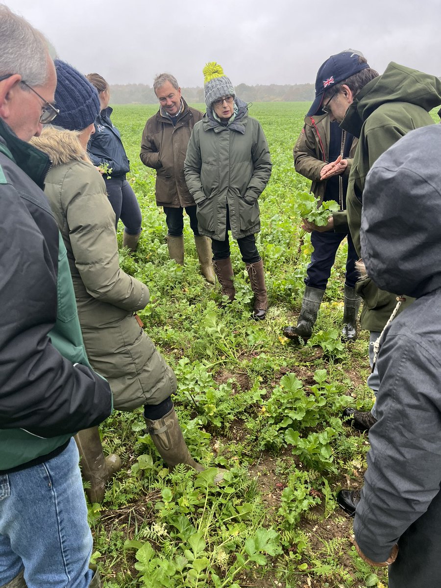 Holly Shearman tweet media