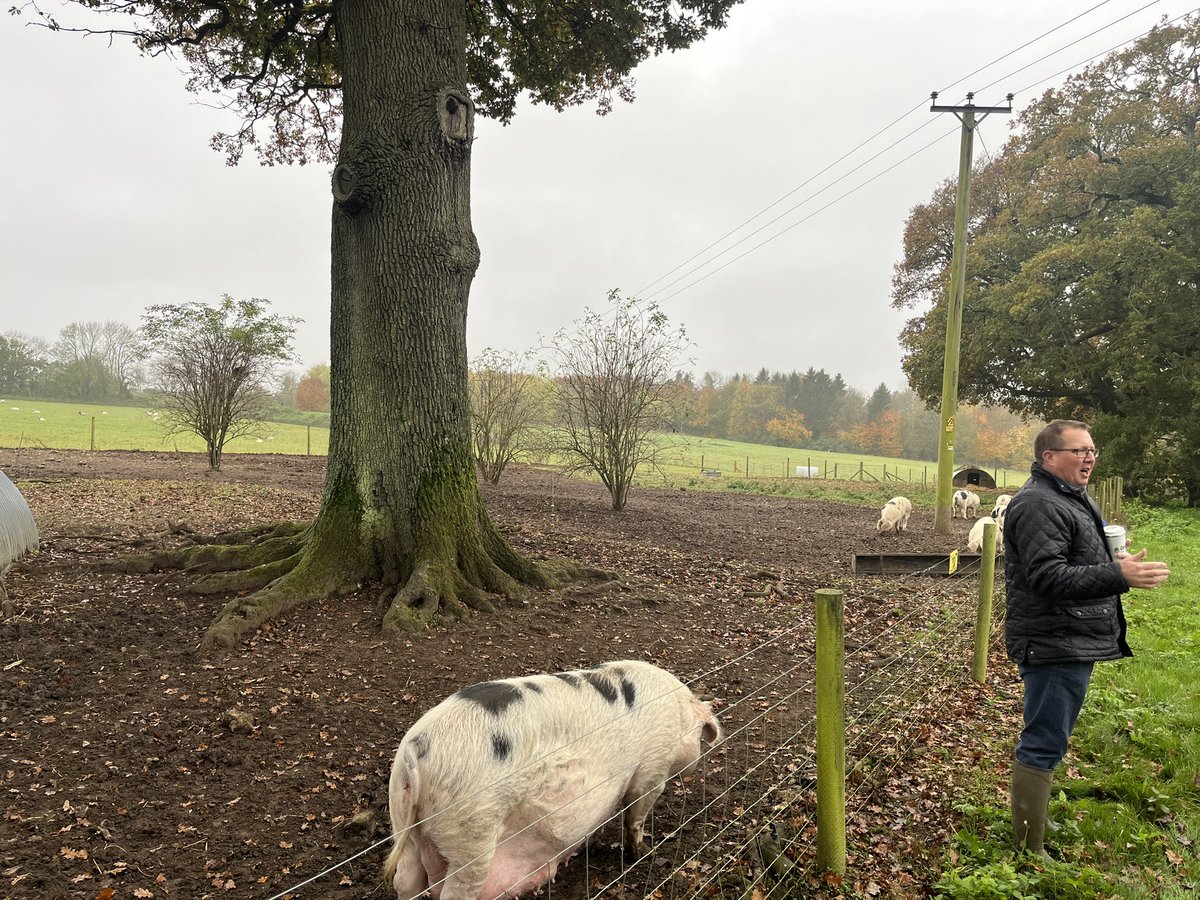 Holly Shearman tweet media