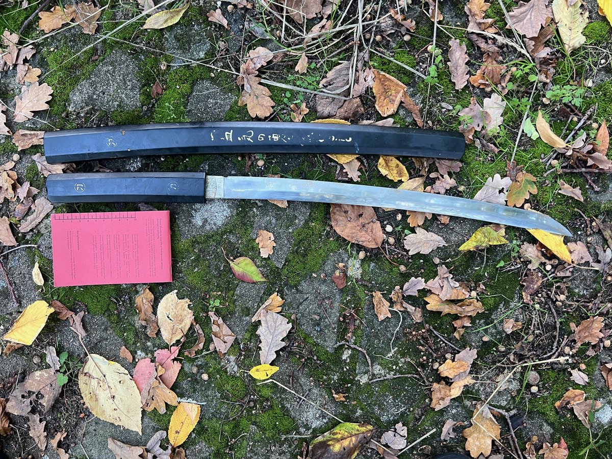#ARRESTED A man has been arrested in Hornchurch after he was seen walking around with a large samurai sword. The man was detained safely by officers from response team and specialised firearms units. No one was injured during this incident. The investigation is ongoing.