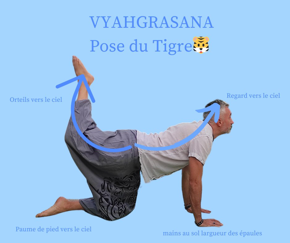 🧘 Bienfaits de la posture du Tigre (Vyaghrasana) 🐅

#YogaBienEtre #PostureDuTigre #Vyaghrasana #YogaPourTous #YogaMoselle #YogaVitalité #BienfaitsYoga #yoga #moselle
