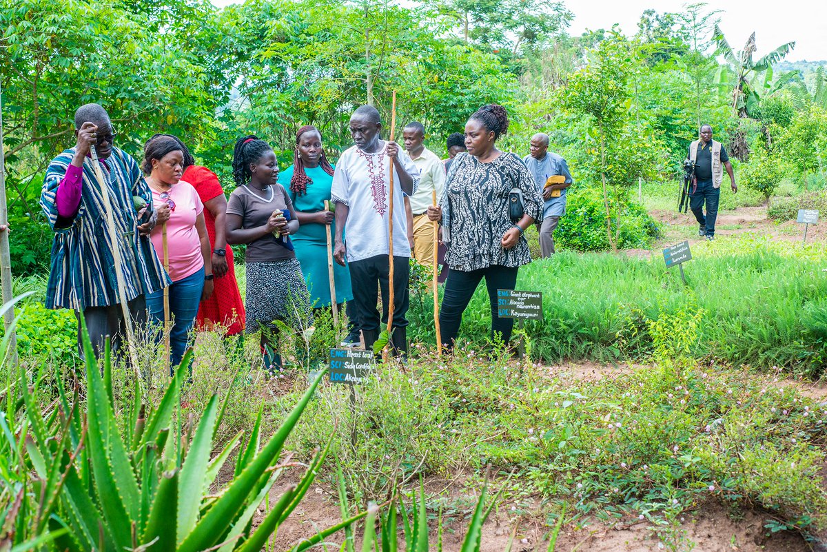 InstituteLand's tweet photo. Rt.Rev.Dr. Nathan Iddrisu, a Methodist Bp from Ghana leads PROCMURA delegation to BLI in partnership with UJCC on the mission to foster church leaders to embrace Environment restoration. Bishop says "Christianity isn't about Jesus alone, it's a religion of holistic Human Dev'pt" https://t.co/IyWQHptuEk