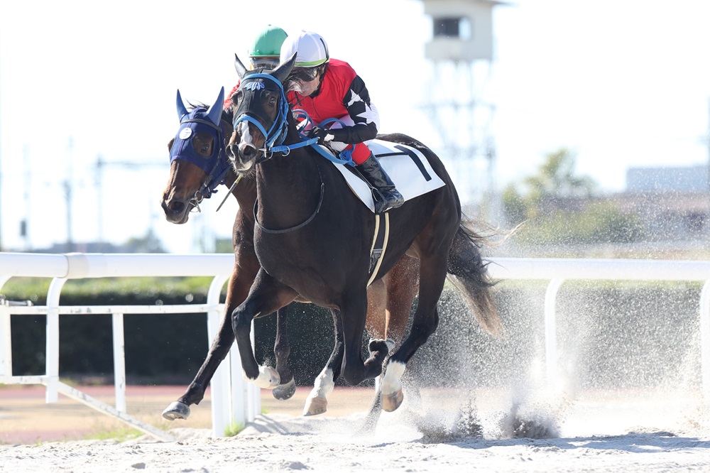 笠松競馬場 on X: 笠松競馬場 on X: