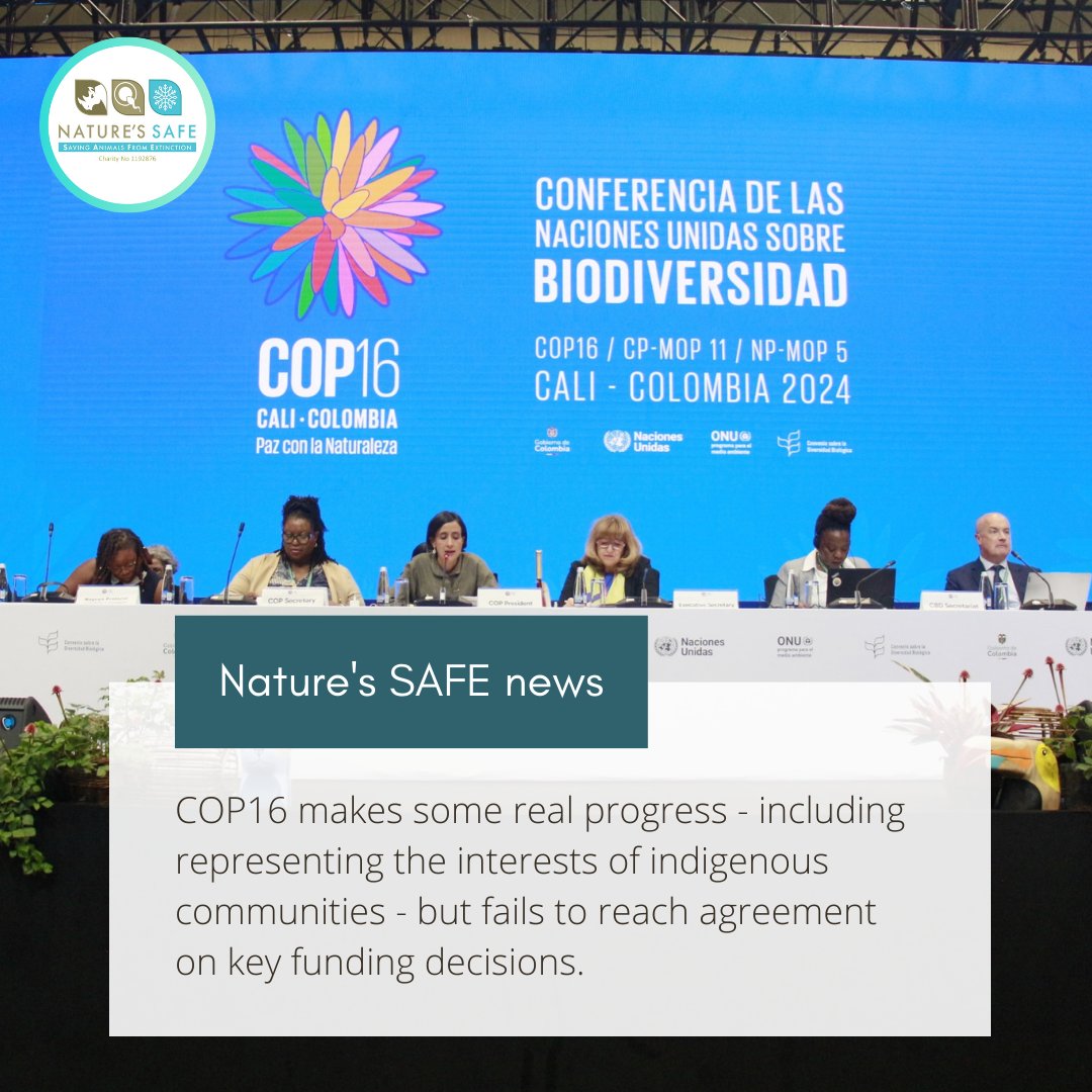 COP16 has resulted in the landmark decision to create a new body within the CBD to represent the interests of indigenous peoples. However, key decisions on conservation funding have been postponed until the next COP.

Read our takeaways from COP16: natures-safe.com/cop16/

#cop16