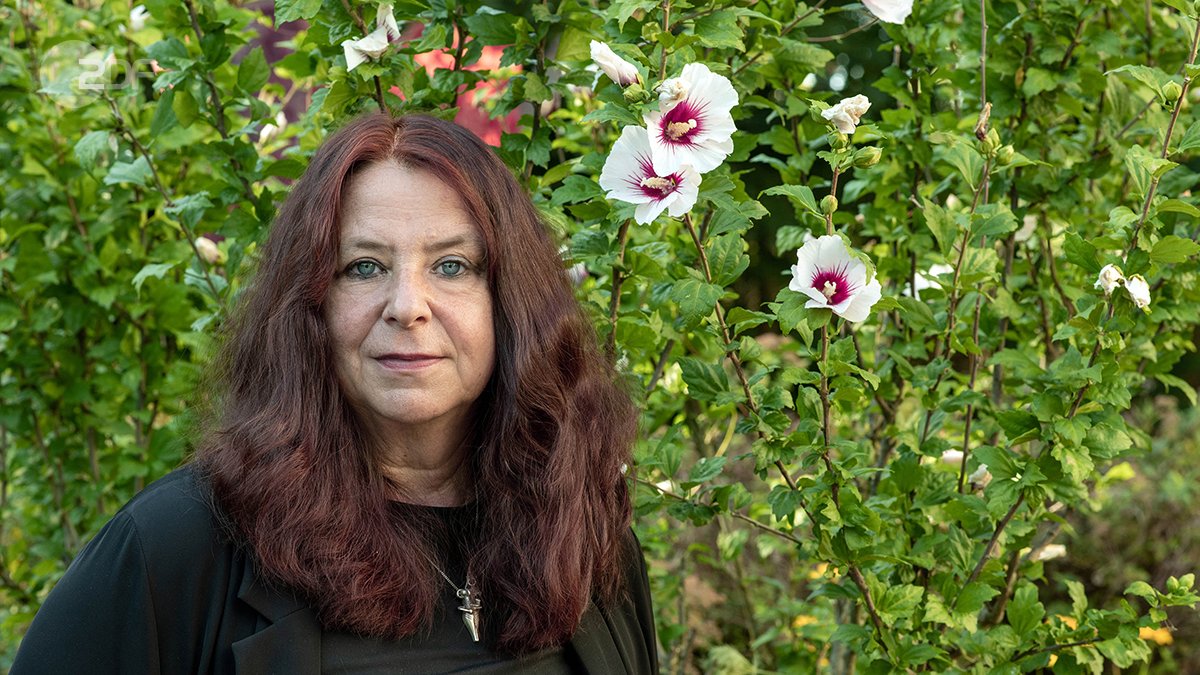 ZDFpresse tweet media