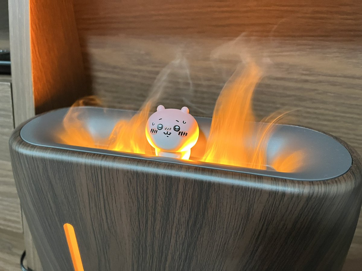 しゃもじ tweet media