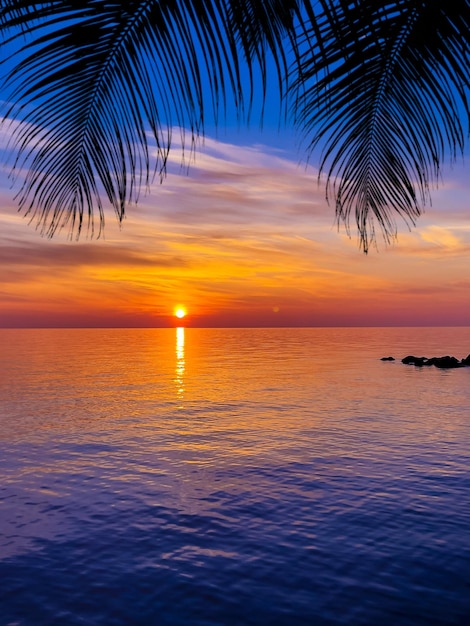 Amnesia1908's tweet image. 