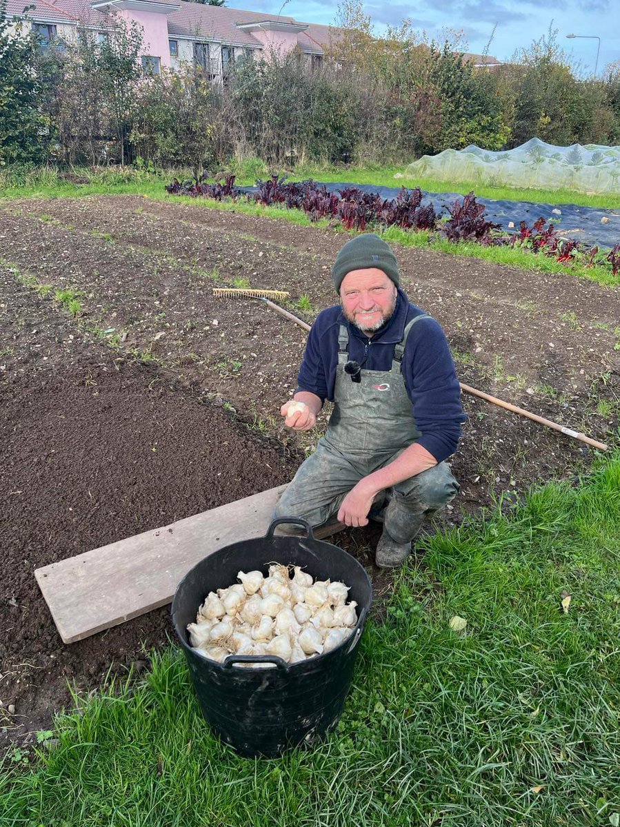 The humble 🧄 bulb holds special significance for us at GIY. Our founder, <a href="/mickkellygrows/">Mick Kelly</a> was inspired to start GIY after discovering that a garlic bulb he bought had traveled 5,000 miles from China to IRL.
Plant your own garlic this season, you never know what it could lead to!