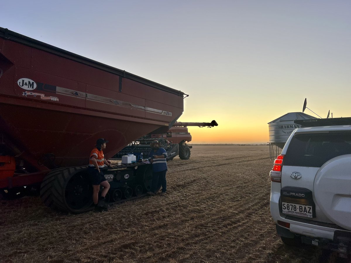 Uber Eats: Harvest Edition 

Peas and Canola done. Barley, Lentils and Wheat to go….

#harvest24 #barley #homecooked #slowcooked #caseih #zerotill #sustainableagriculture #regenerativeagriculture #ausag #southaustralia #kitchenbitch