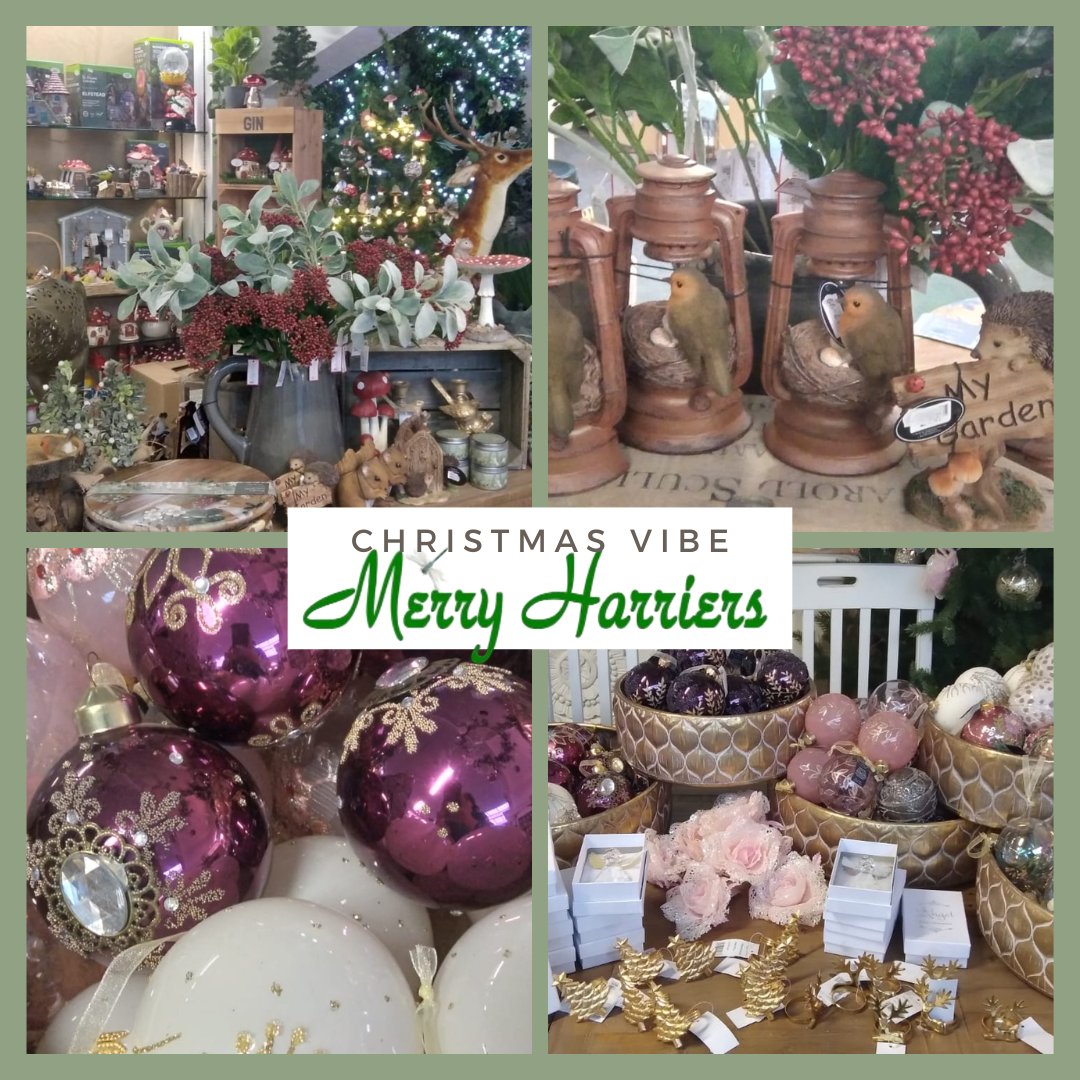 The Merry Harriers Garden Centre - North Devon tweet media