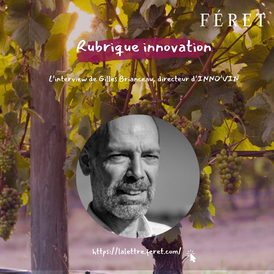 🔬 Gilles Brianceau, directeur d'Inno’vin, nous livre son parcours et son regard sur les avancées au service de la filière viticole bordelaise 🍇✨  Lien de l'article : zurl.co/0QHn 

#Innovation #Viticulture #Bordeaux #InnoVin #ÉditionsFéret #WineTech #Durabilité