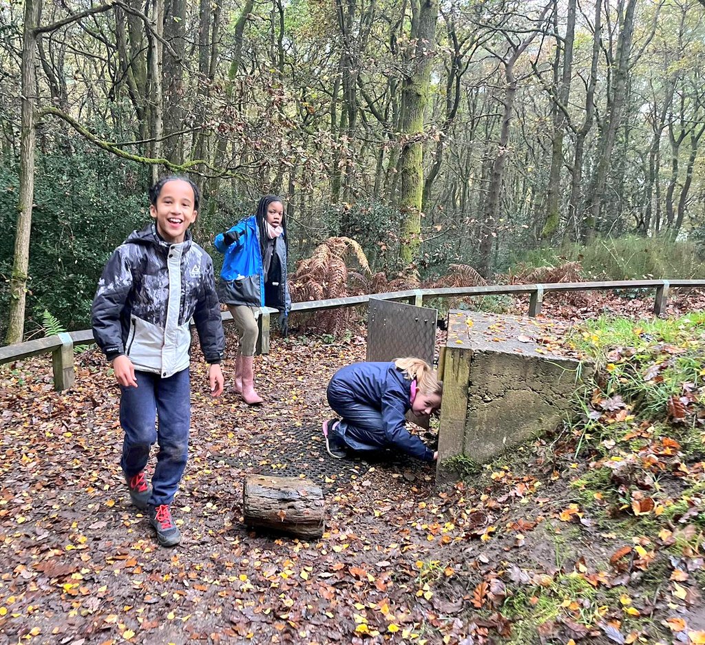 AlbionPrimary's tweet photo. Tunnel trail this morning for groups 3 and 4!
#APSPGL https://t.co/c2uk3eOLF8