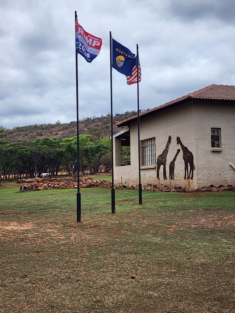 Apex Gold Wildlife Safaris in South Africa are flying a Trump 2024 Flag along the US and Montana Flags.  Huge Trump fans and supporters of <a href="/realDonaldTrump/">Donald J. Trump</a>.