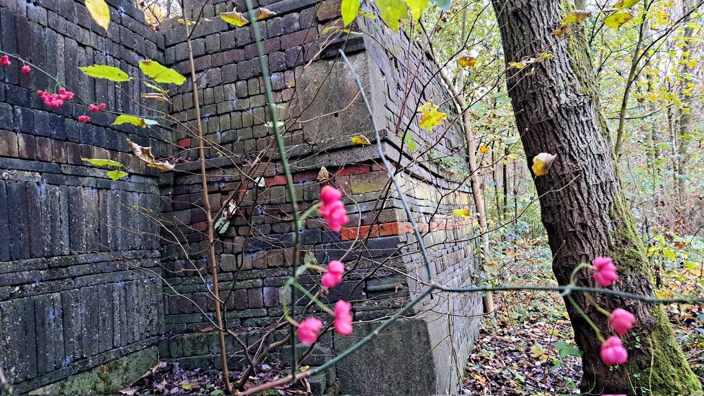 #Ecokathedraal | Heerenveen (📷 6/11, 16.00u)💧Louis le Roy startte in jaren ‘60 een eeuwigdurend bouwproces met handgestapelde stenen (bouwafval) en verwildering van flora en fauna. Info oa: leroytuin.nl/ecokathedraal en louisleroy.nl/projecten/ecok…