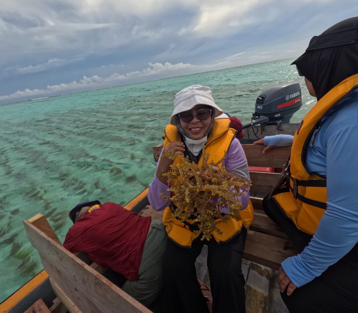 bppsdm_kp's tweet photo. #SobatBahari, rangkaian giat tim #BPPSDMKP pd 'Dispatch Expert' ke Kep. Solomon berlanjut dg site study aktivitas petani rumput laut di P. Benjamine, pulau terbesar produsen rumput laut di kawasan perairan Wagina.

#2024KKPBeyond #SDMUnggul #EkonomiBiru @in_radiarta  @kkpgoid https://t.co/GU3MCQJlkA