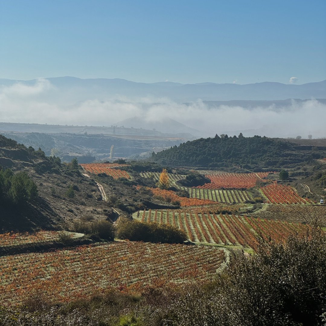 La Rioja en otoño.🍂🤎
Santa Maria de la Piscina, un lugar muy especial para nosotros, ya que, esta Ermita, da imagen a 𝙎𝙚𝙣̃𝙤𝙧𝙞́𝙤 𝙙𝙚 𝙋.𝙋𝙚𝙘𝙞𝙣̃𝙖.  ♥️

#riojawine #bodegaspeciña