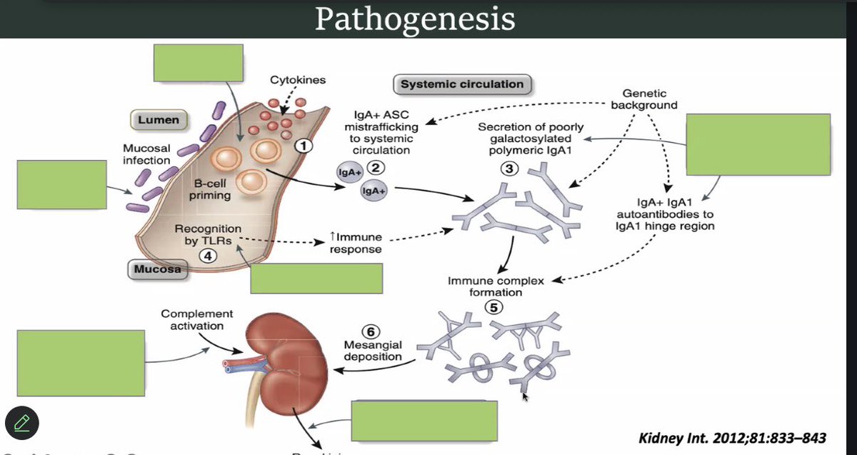 Benjamin Tan tweet media