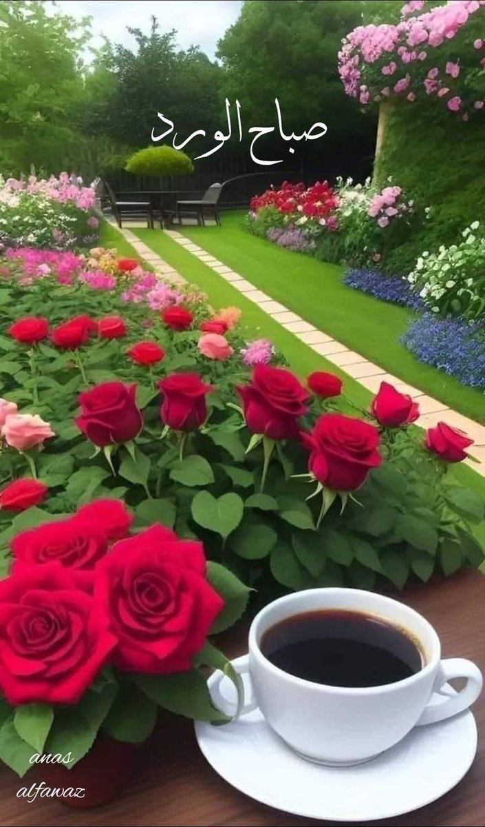 nada_d35's tweet photo. #صباح_الخير_والسعاده https://t.co/gEae1bDpFt