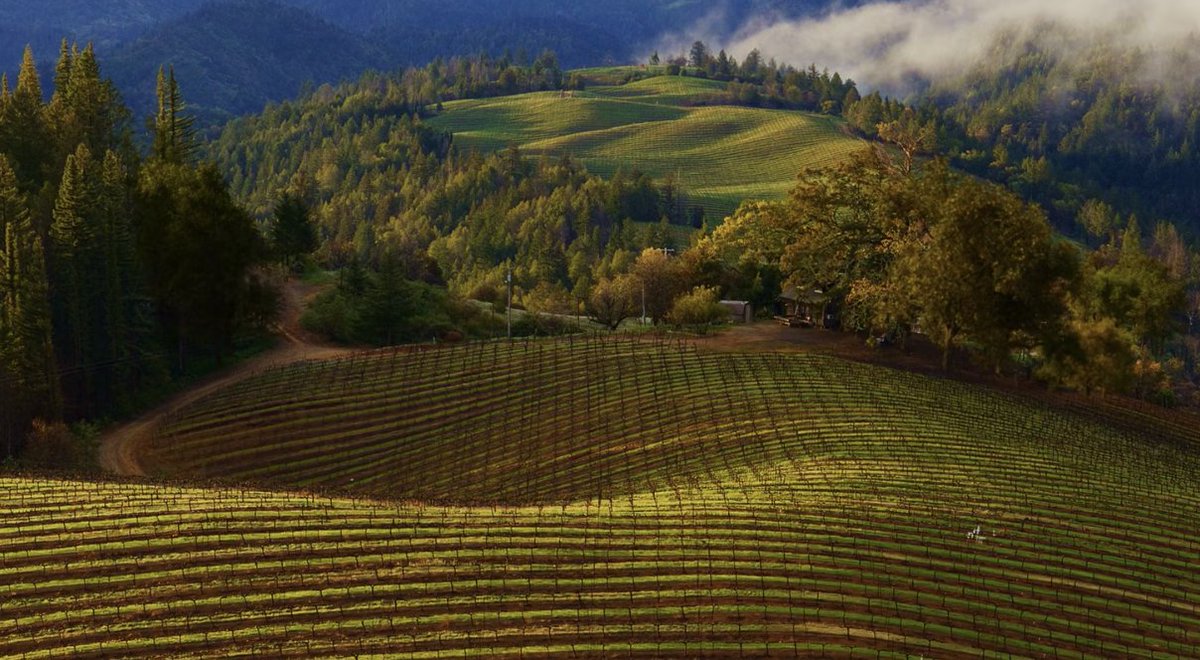 Testingtestacc's tweet image. copy 

link - bluerobot.com