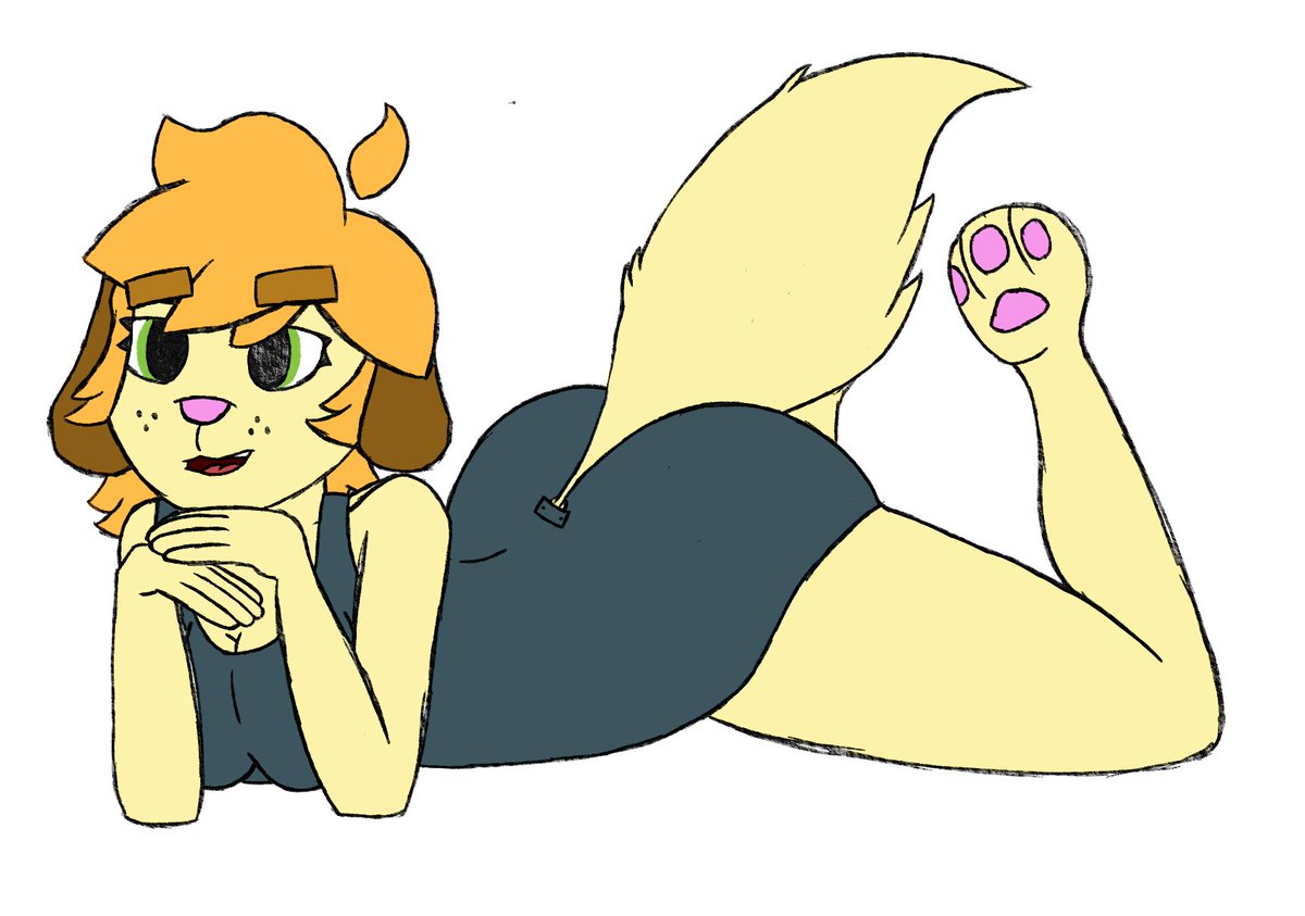 Dog in a swimsuit