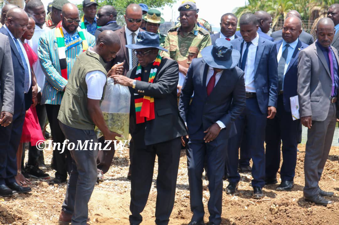 nickmangwana's tweet image. The YEF is being spearheaded  by the Ministry of Youth Empowerment,  Development and Vocational Training. VTC&apos;s are hosting the Empowerment Forums with the aim of promoting vocational skills among the youth.

Currently, the Ministry operates 45 Vocational Training Centres, which…