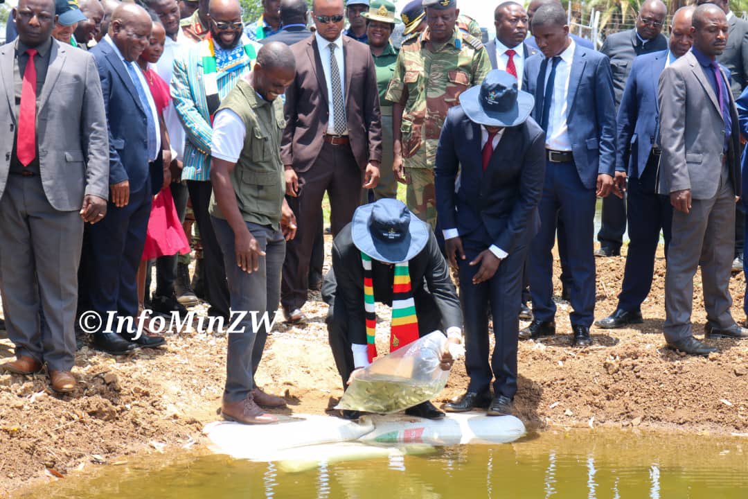 nickmangwana's tweet image. The YEF is being spearheaded  by the Ministry of Youth Empowerment,  Development and Vocational Training. VTC&apos;s are hosting the Empowerment Forums with the aim of promoting vocational skills among the youth.

Currently, the Ministry operates 45 Vocational Training Centres, which…