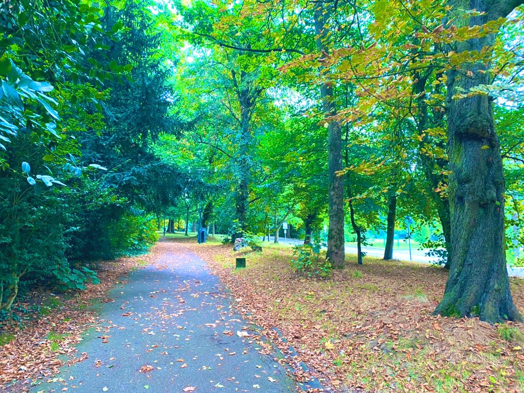 Ben R. Atkinson tweet media