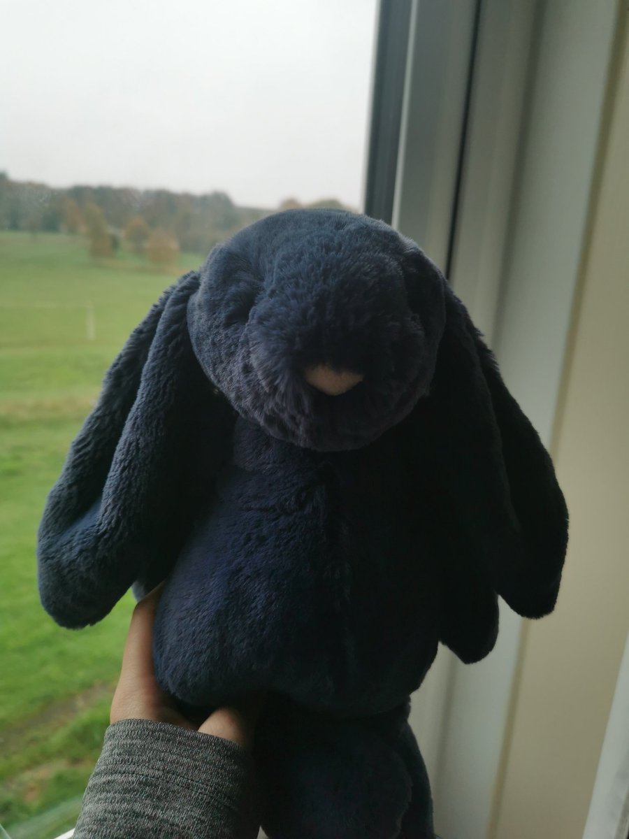 monsteemoo's tweet photo. @JohnLewisRetail #JLChristmas we've only got two, a blue bunny which is our youngest and a matching pink one for our eldest. But the pink ones done a runner somewhere in her room 😅 https://t.co/fuHQtbFNQY