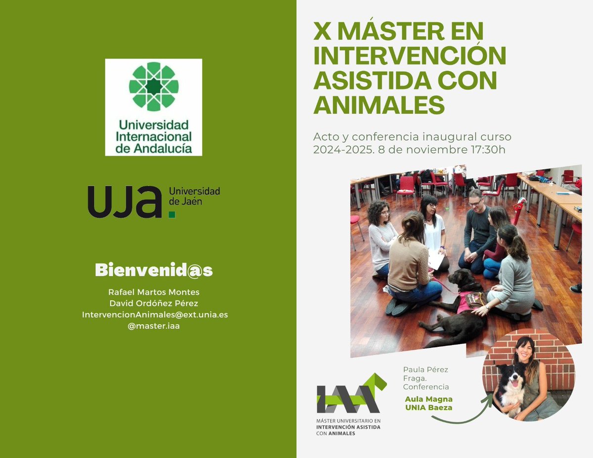 Máster Oficial IAA tweet media