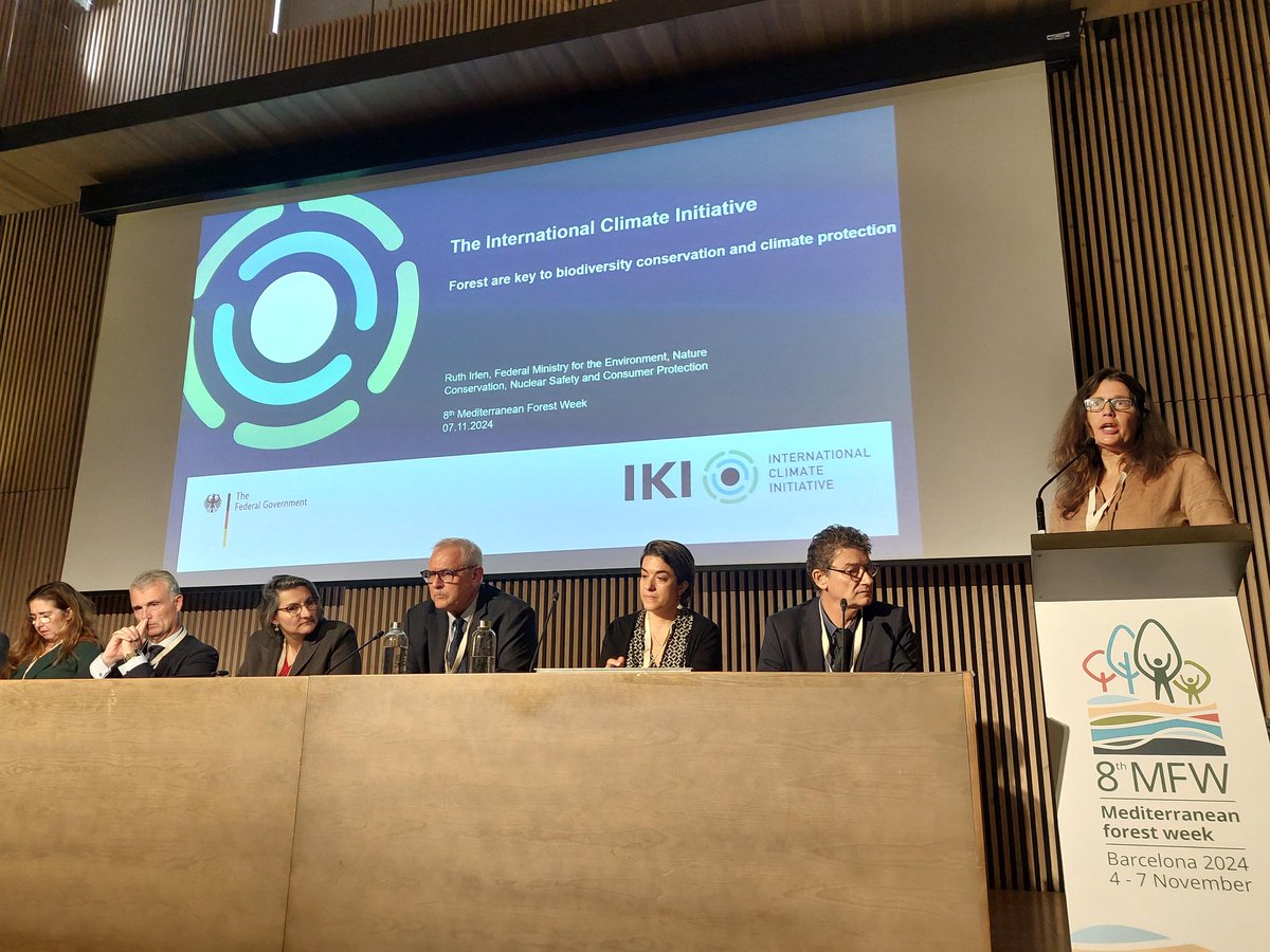 medforestweek's tweet photo. 📢 @CBesacier18 from @FAO, Ruth Irlen from @BMUV, and Frédéric Fourtune from @eu_near - @euneighbours are diving into the past, present, and future of #forest related #DevelopmentCooperation in the #Mediterranean at session 6⃣ of the 8th #MedForestWeek 🤝 https://t.co/zGgC0Fap7T