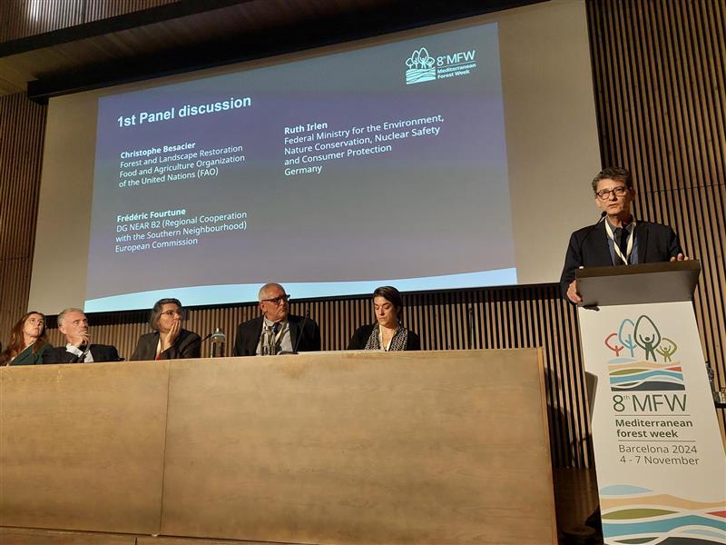 medforestweek's tweet photo. 📢 @CBesacier18 from @FAO, Ruth Irlen from @BMUV, and Frédéric Fourtune from @eu_near - @euneighbours are diving into the past, present, and future of #forest related #DevelopmentCooperation in the #Mediterranean at session 6⃣ of the 8th #MedForestWeek 🤝 https://t.co/zGgC0Fap7T