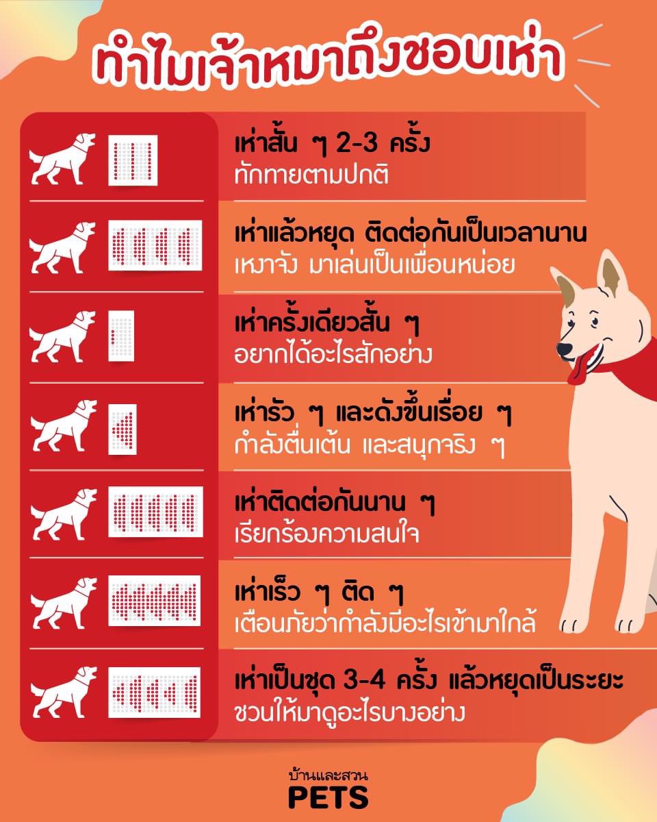 bbigkachu's tweet image. แล้วถ้าเพื่อนกลับไปคืนดีกลับแฟน เราต้องเห่ายังไงคะ 555555555555555