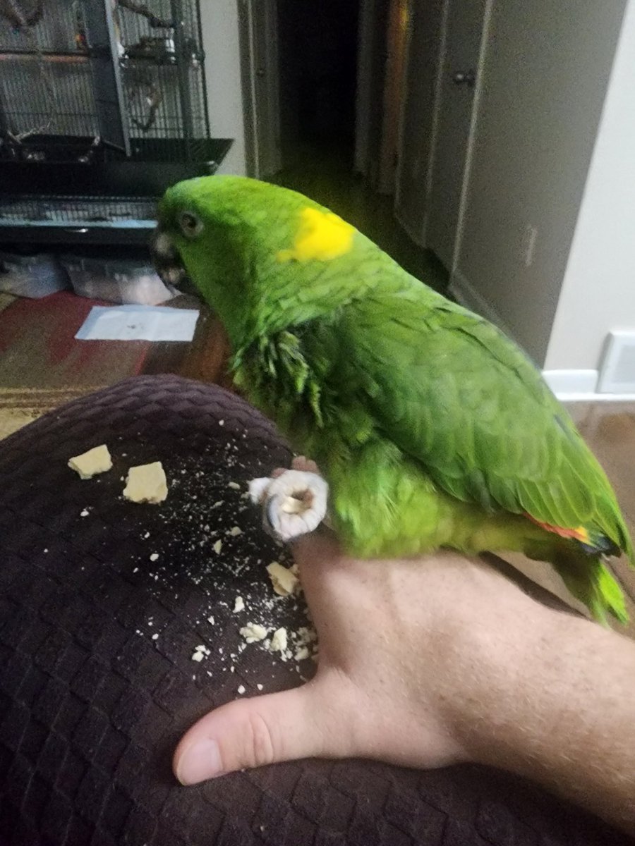 even2death's tweet photo. I know for sure that a Pop Tart will never know peace in this house again since Peanut arrived!
My boy turns them to DUST! https://t.co/CIvZYLQjQR