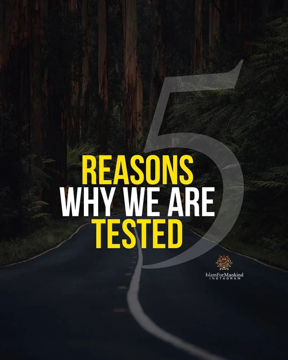 Mahdii365_'s tweet photo. ● 5 Reasons Why We Are Tested. 

● Must Read 📚 https://t.co/0tUJ72Y2nT