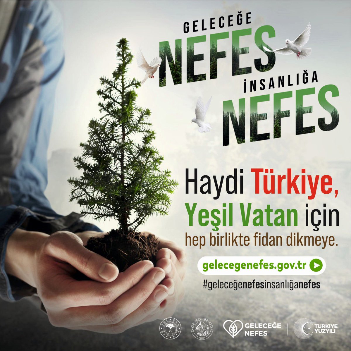 11 Kasım Milli Ağaçlandırma Günü'nde #GeleceğeNefesİnsanlığaNefes oluyoruz. 

7’den 70’e tüm vatandaşlarımızı ve  kurumlarımızı gelecegenefes.gov.tr sitesinden fidanlarını sahiplenmeye, 11 Kasım’da 81 ilimizdeki etkinlik alanlarımıza fidan dikmeye davet ediyorum. 🌳🌲