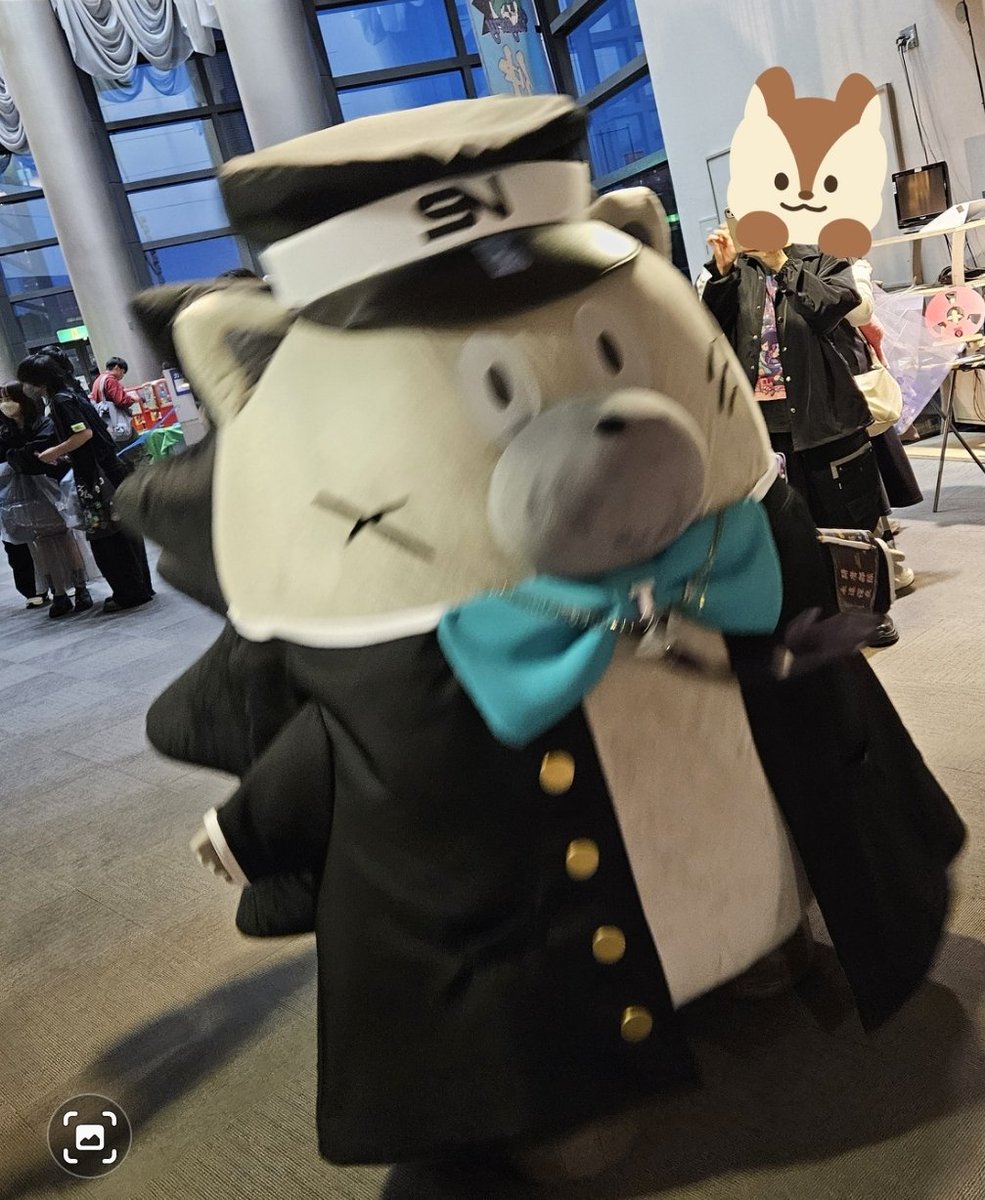 aramarumaru's tweet photo. @zutomayo_staff 目の前にあらわれてくれました。きっと目も合ったはず👀
永遠深夜の皆様はご安全に！🏥 https://t.co/6hZYdqvlEy
