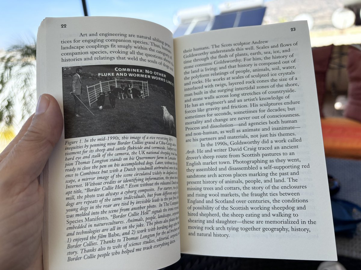 HazzyC's tweet photo. Riad roof reading Haraway on Goldsworthy 🙏🙌
Holiday heaven! 

(@drewittclarke and I saw Goldsworthy @NevillHoltFest earlier this year) https://t.co/ykTcaysu7f