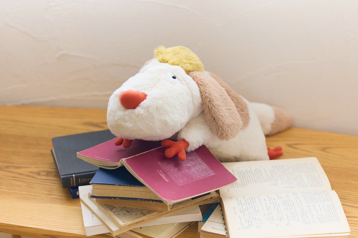 ジブリがいっぱい どんぐり共和国【公式】 on X