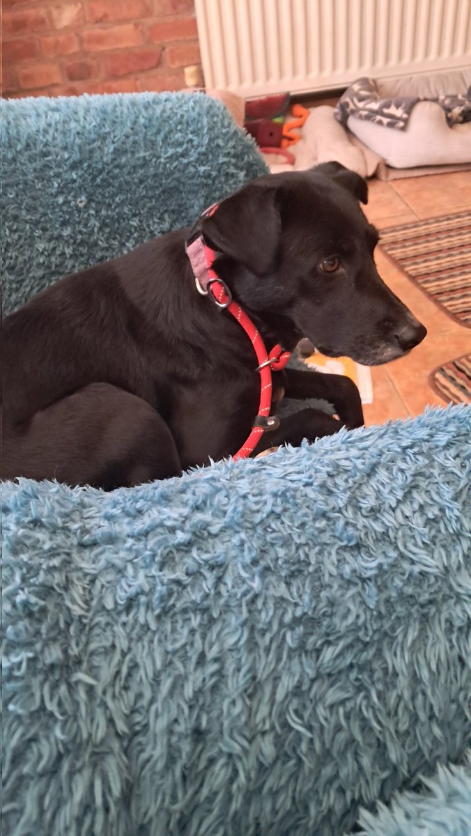 Hannah-4th Earp Sis 🇬🇧 tweet media