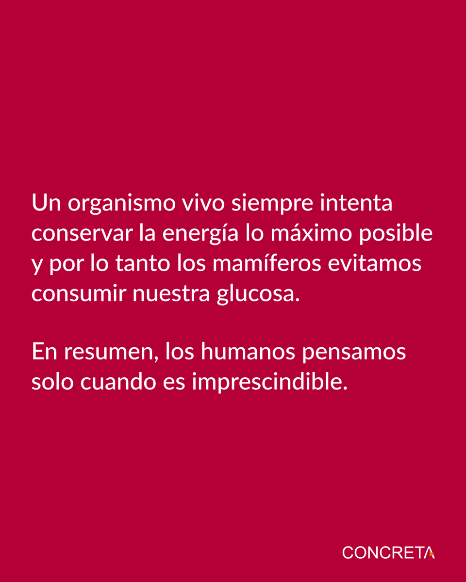 Concreta tweet media