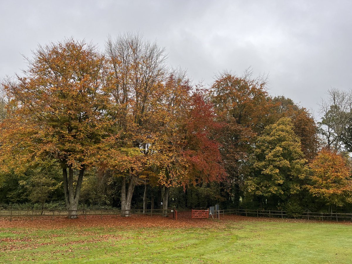 Dull shot of the carpark 🍂