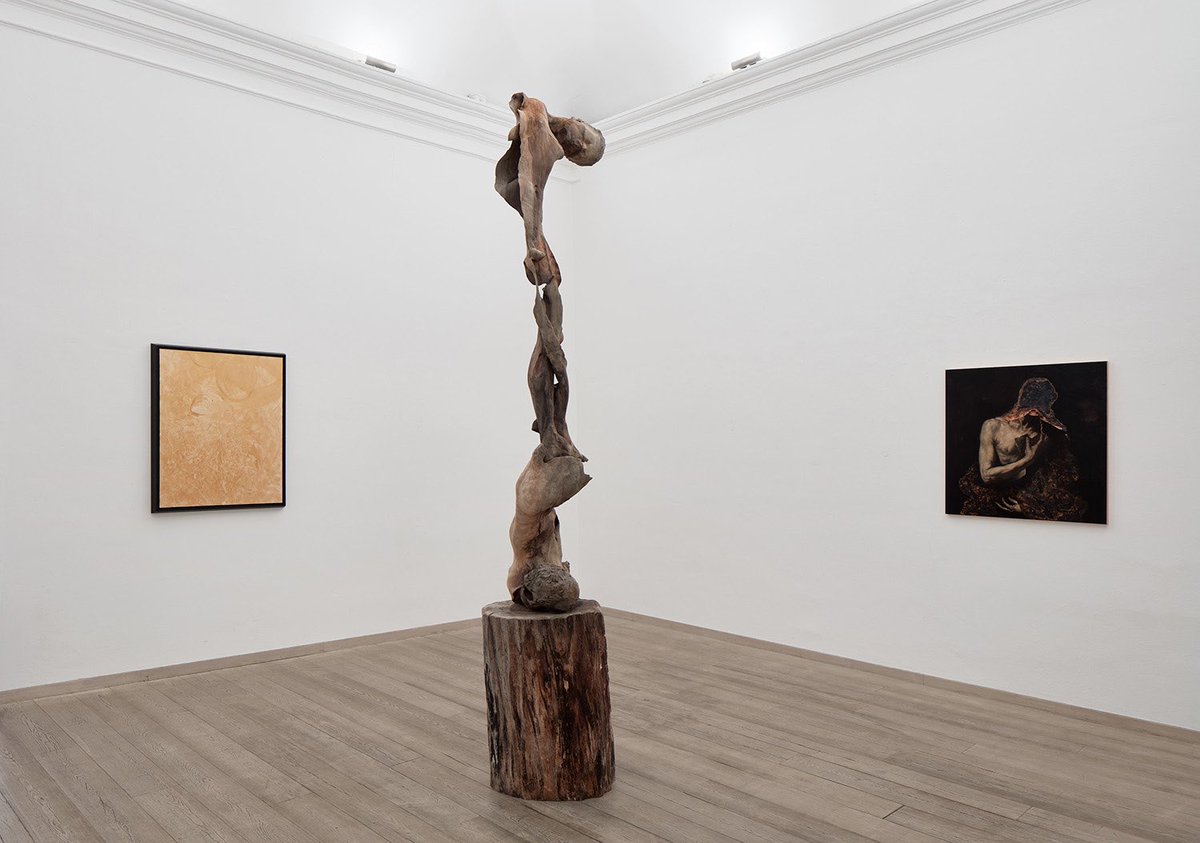 OTTO Gallery tweet media