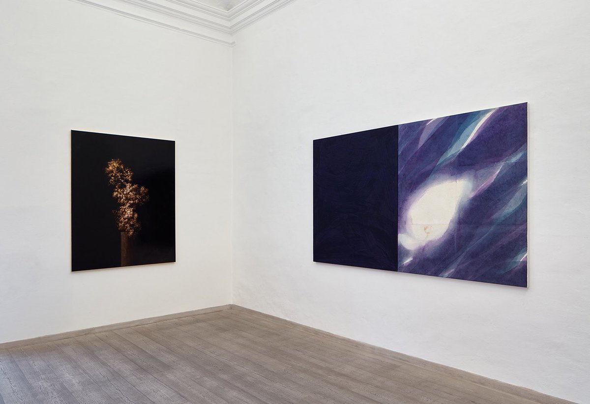 OTTO Gallery tweet media