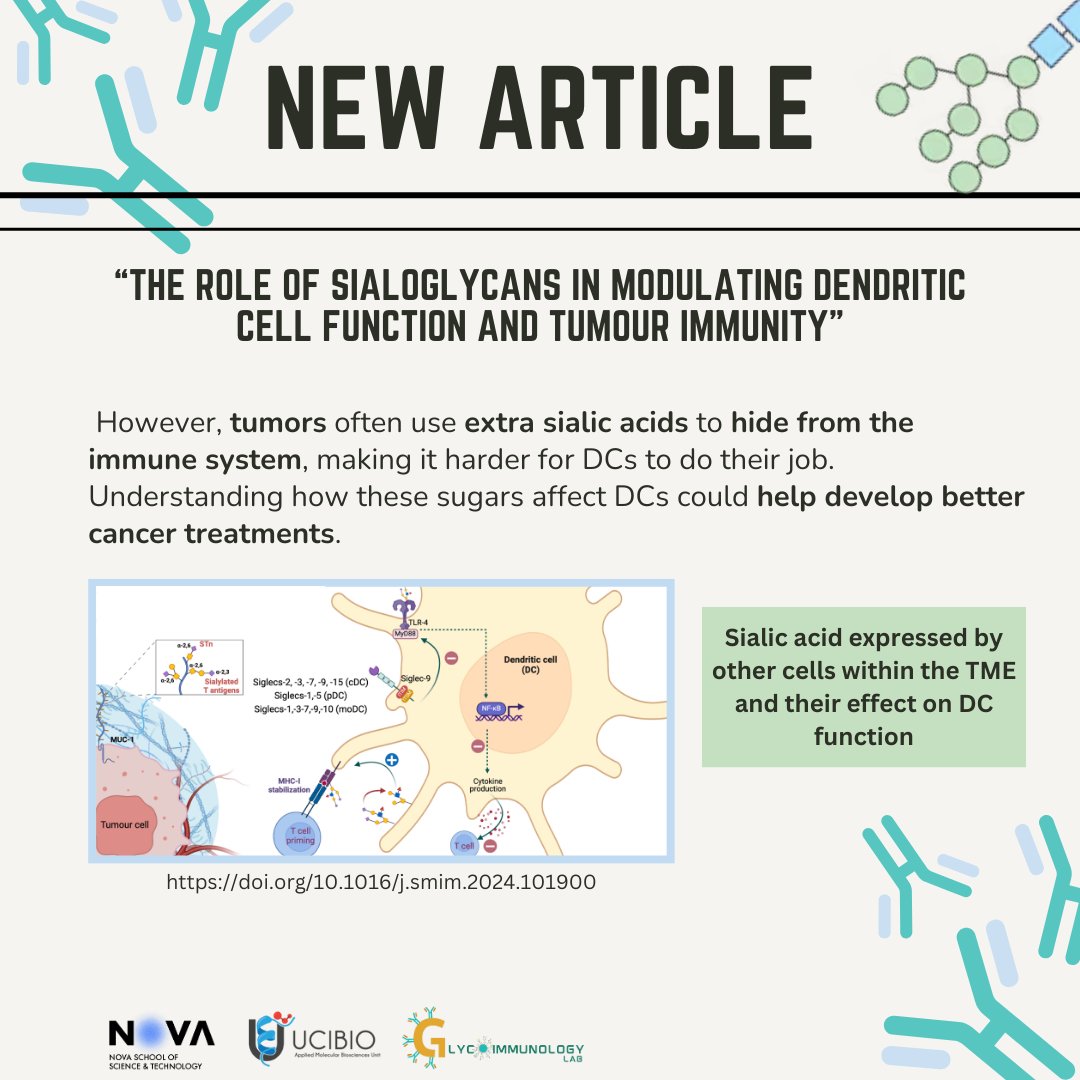 Dendritic cells (DCs) are pivotal in launching immune attacks against tumors, but did you know that sialylation—a type of glycosylation—can make all the difference? 
Read the full article here: 
sciencedirect.com/science/articl…