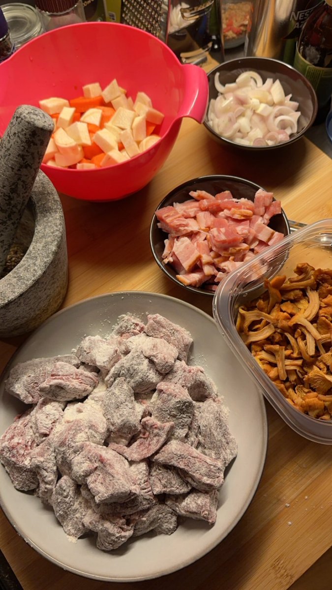 good_s00p's tweet photo. reindeer stew with ✨chantrelles✨ for bf and my brother last night https://t.co/aKqYZtt7SG