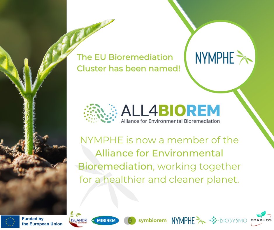 NYMPHE (@nympheproject) on Twitter photo We are thrilled to announce that the EU Bioremediation Cluster now has an official name and identity: ALL4BIOREM! 💚
We believe that collaboration is the key to real impact. Together, we can achieve so much more for our planet! 🤝 🌍 We are thrilled to announce that the EU Bioremediation Cluster now has an official name and identity: ALL4BIOREM! 💚
We believe that collaboration is the key to real impact. Together, we can achieve so much more for our planet! 🤝 🌍