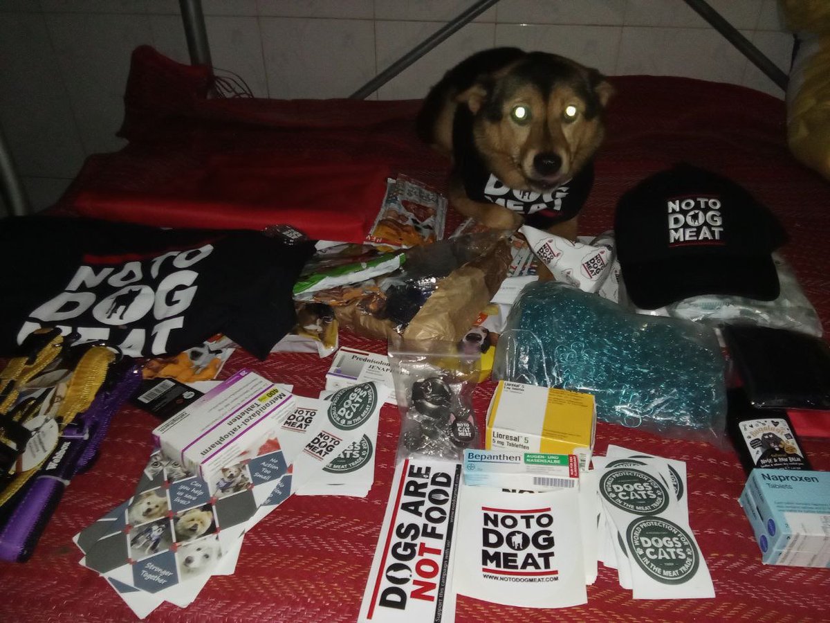 notodogmeat's tweet photo. Really proud of our partner Tet in Cambodia. He lovingly cares for rescues and also helps us with education campaigns. #Cambodia #notodogmeat #NoActionTooSmall https://t.co/PBYZvo9Bq6