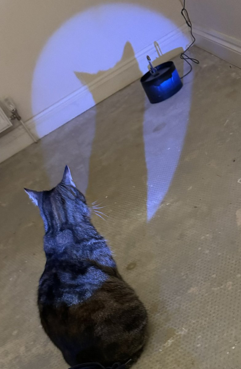 Tweak & Tweet ♡Maths tweet media