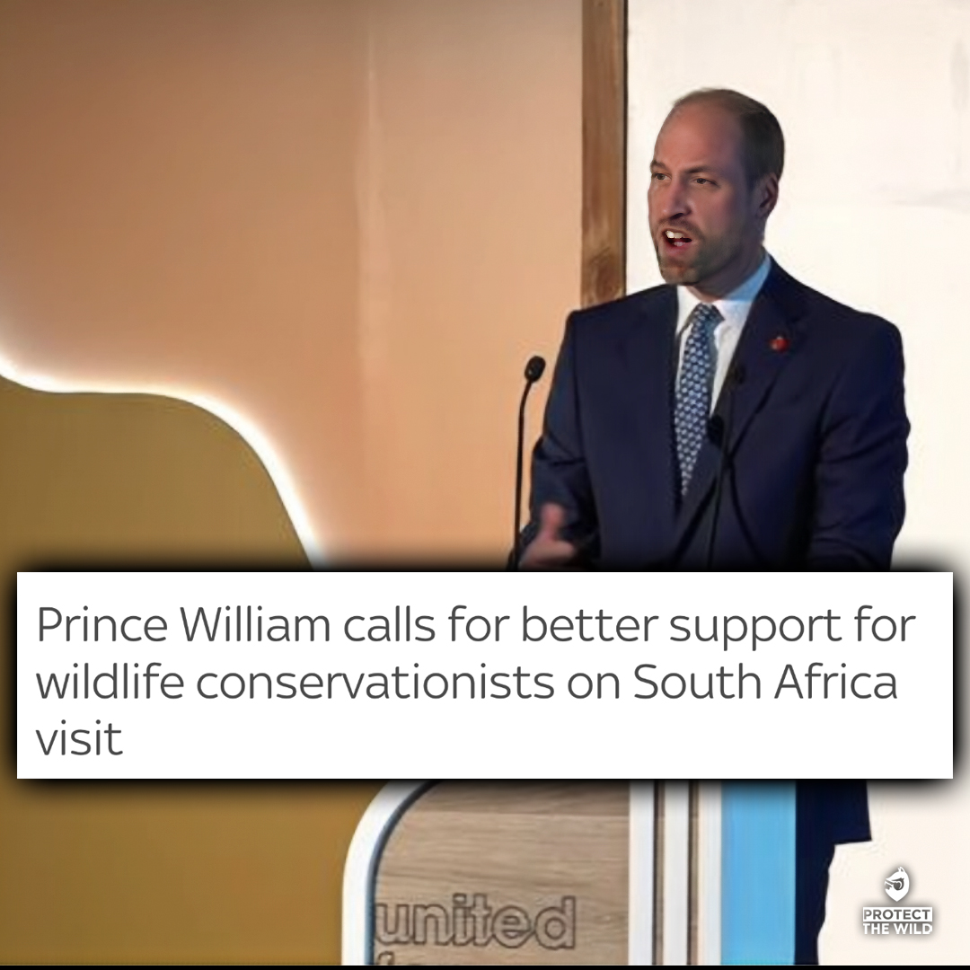 Protect the Wild tweet media