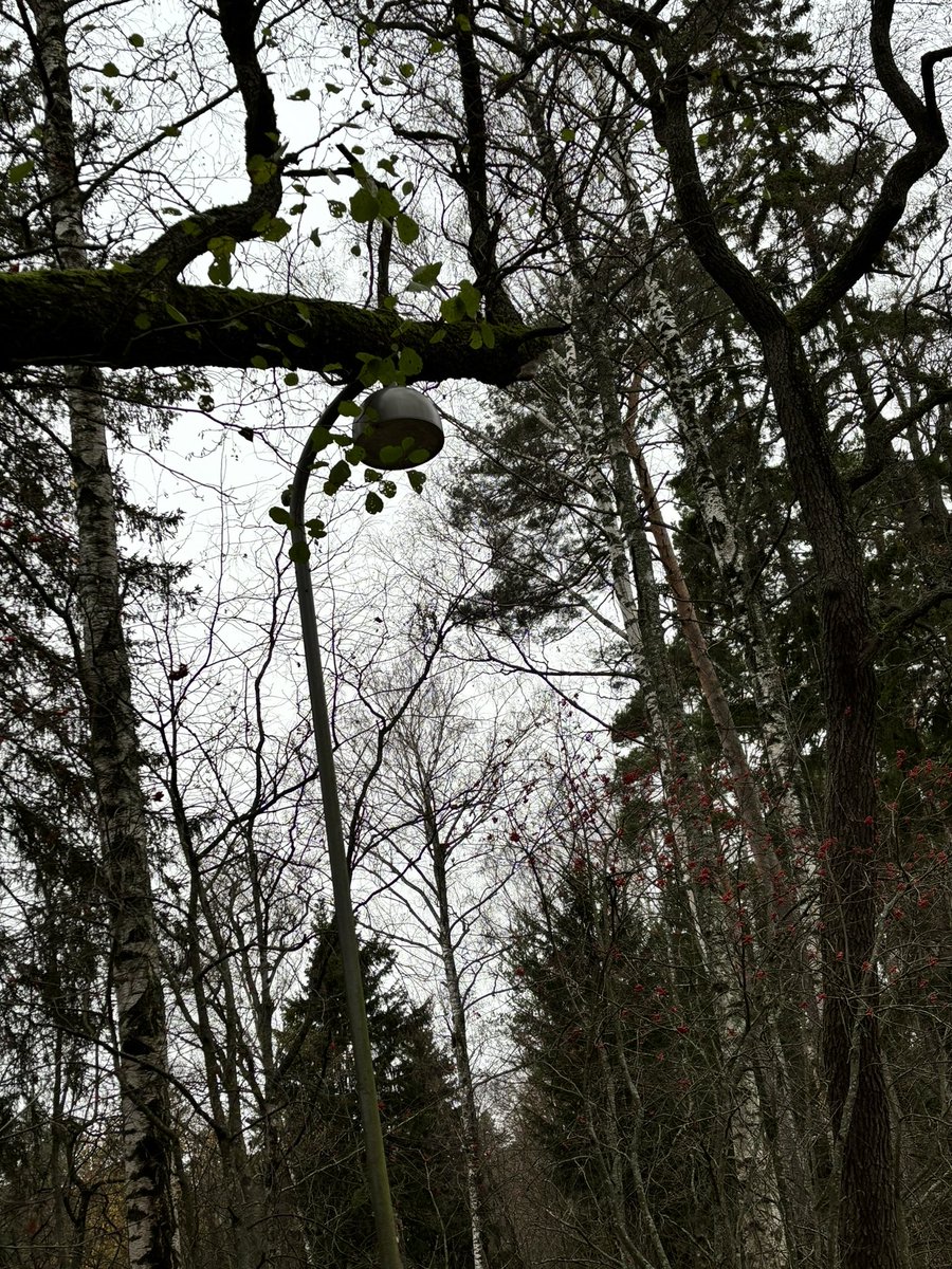 Hei <a href="/HelsinkiKymp/">Kaupunkiympäristö</a> Onko teidän hommia , mutta Seurasaaressa Lekkosen portaiden pohjoispuolella on tuollainen konkelo-tilanne.